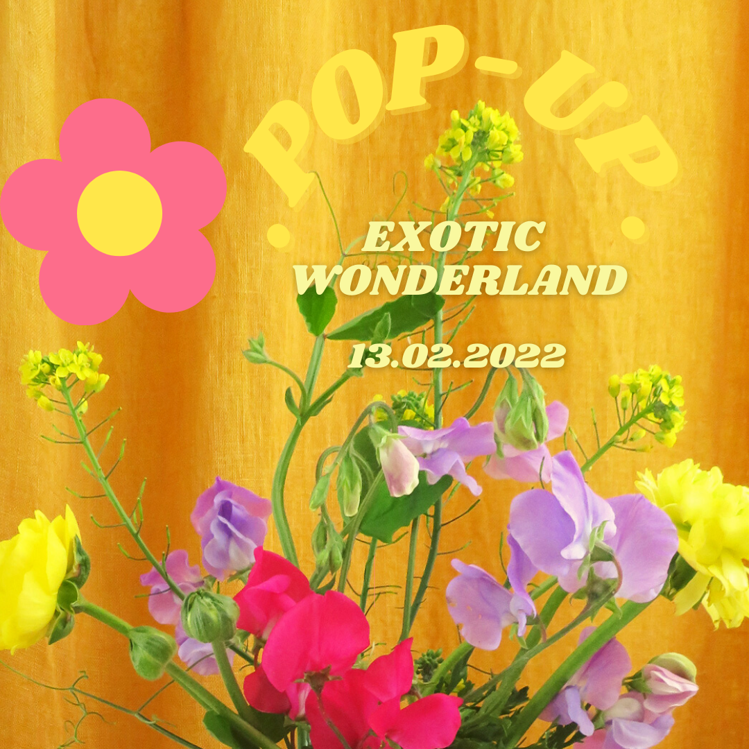 An Everyday Escape<br>Exotic Wonderland Pop-Up